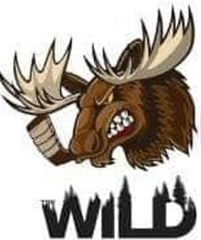 Wild Moose